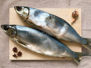 Мясо свинины 